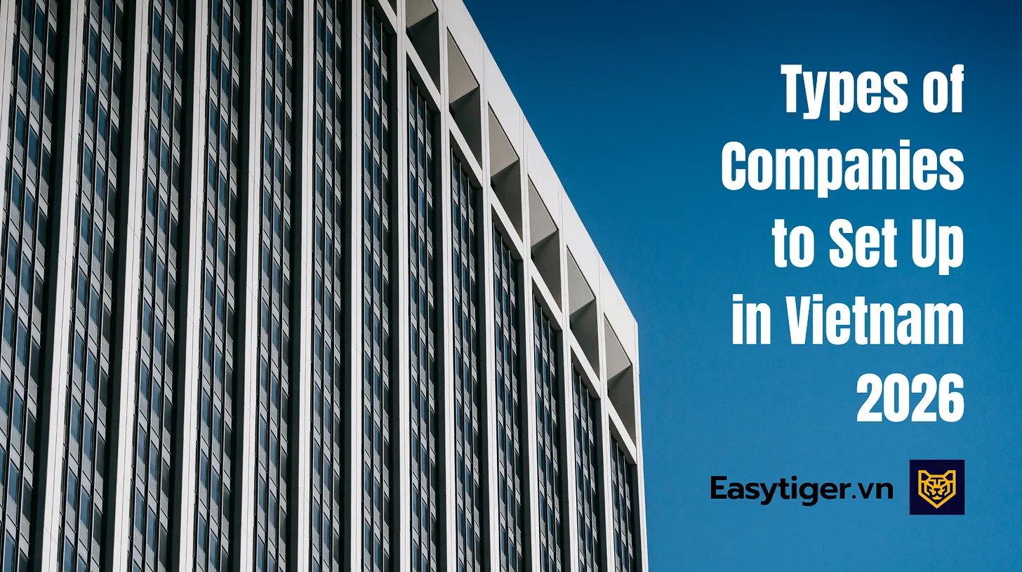 Types of Companies to Set Up in Vietnam in 2026: A Complete Guide for Expats and Foreign Investors