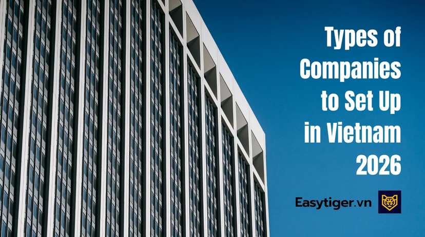 Types of Companies to Set Up in Vietnam in 2026: A Complete Guide for Expats and Foreign Investors