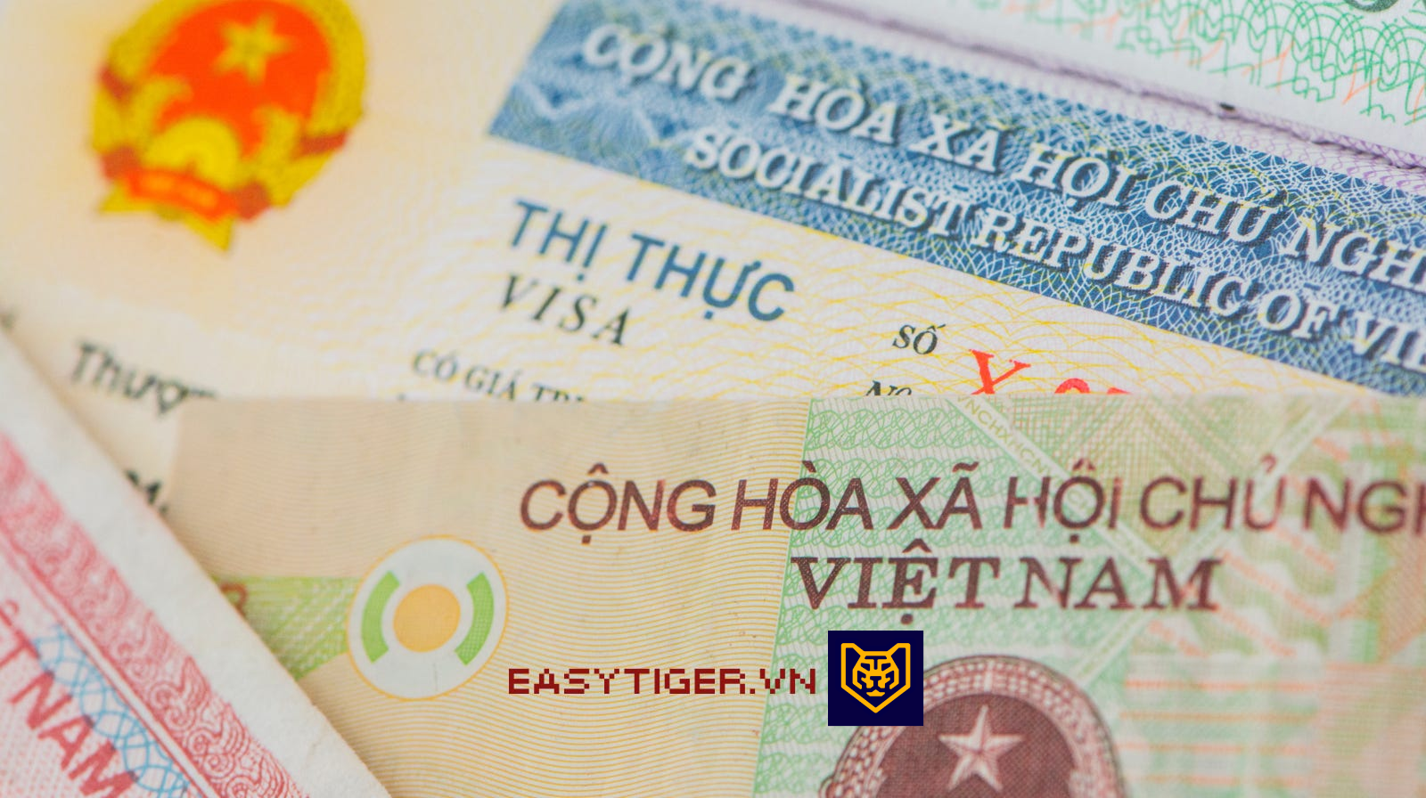 Vietnam Visa Guide for Foreigners and Expats: Everything You Need to Know in 2026